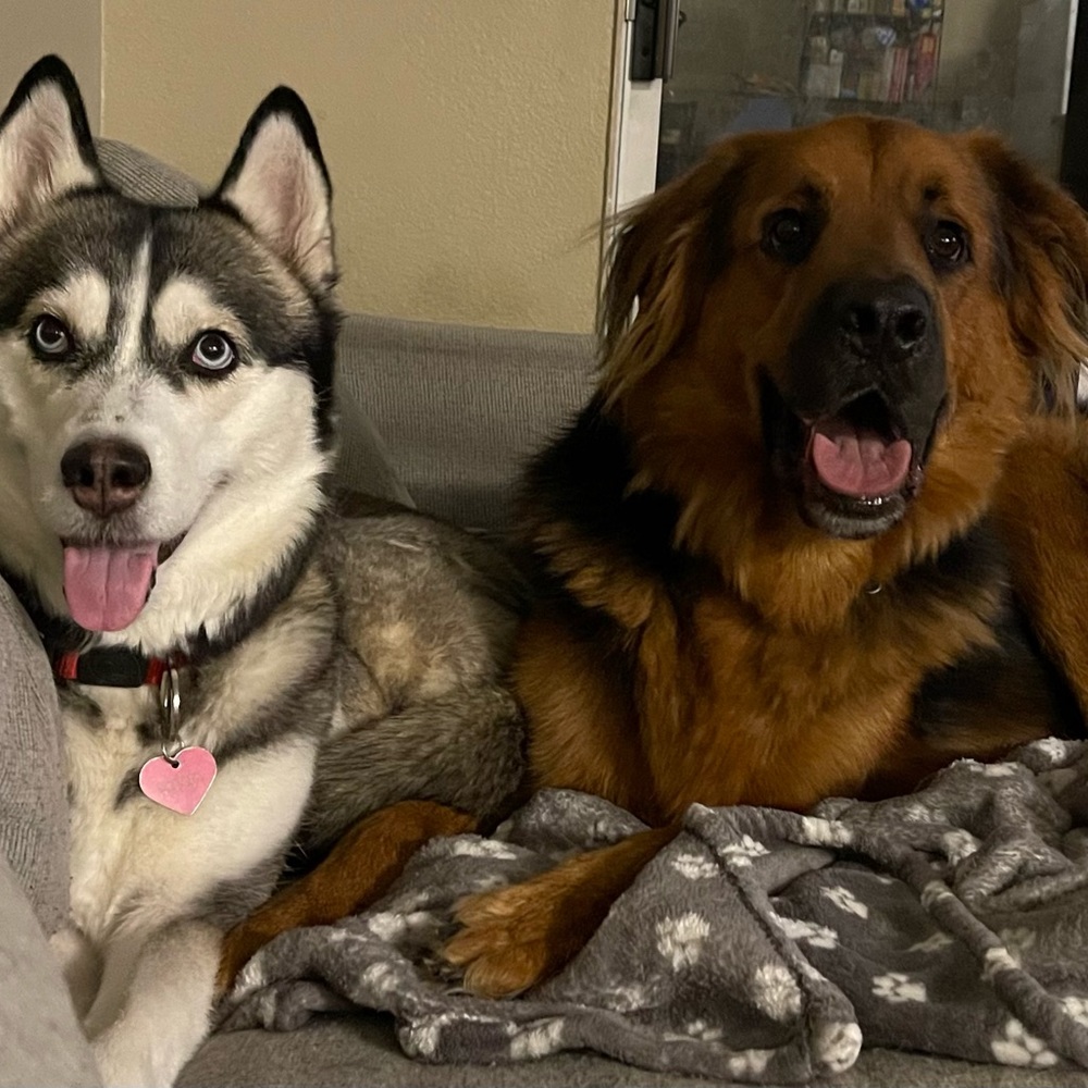 Meet your Posher, Kim